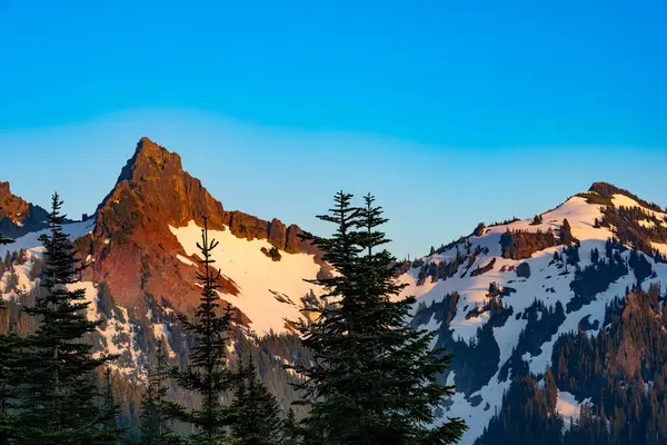 Cennet alan Rainier Dağı Milli Park, Washington State, ABD