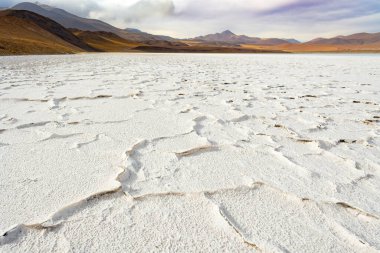 Salt crust in the shore of lagoon and salt lake Tuyajto, Altiplano (High Andean Plateau), Los Flamencos National Reserve, Atacama desert, Antofagasta Region, Chile, South America clipart