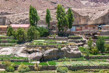 Caspana 'da teras çiftliği, Şili' nin kuzeyinde Atacama Çölü 'nde bir vahada küçük bir köy..