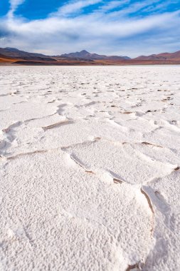 Göl kıyısında kabuk tuz ve Tuz Gölü Tuyajto, Altiplano (yüksek and Yaylası), Los Flamencos National Reserve, Atacama Çölü, Antofagasta bölgesi, Şili, Güney Amerika