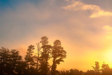 Şafağın altın ışığı Şili, Villarrica 'daki bir çiftliğin üzerine ılık bir ışık saçıyor. Ağaçların siluetleri ufku tanımlarken sakin atmosfer huzurlu bir hava yaratıyor..