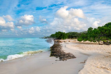 Işıl ışıl bir Aruban gökyüzü altında, cennet gibi Kartal Sahili yumuşak, davetkar kumlarını ve sakin dalgalarını sunarak, ziyaretçilerin kendilerini çarpıcı tropikal atmosfere ve doğal ihtişamına daldırmaları için huzurlu anlar yaratıyor..
