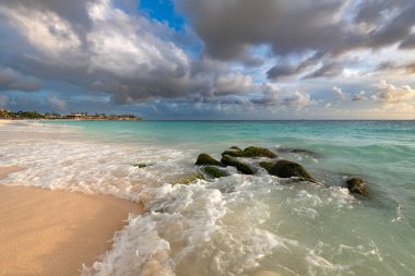 Aruba 'daki Divi Sahili' nin dingin güzelliği, ikonik beyaz kumları, berrak suları ve tatil beldesi.