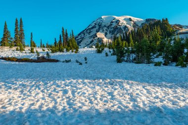 Washington 'daki Rainier Dağı Ulusal Parkı' nın el değmemiş el değmemiş vahşi doğası, karla kaplı büyüleyici bir dağ manzaraya hükmediyor..