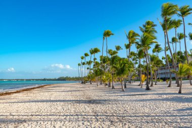 Dominik Cumhuriyeti 'ndeki Bavaro Sahili, Punta Cana' nın çarpıcı manzarası. Uzun palmiye ağaçları el değmemiş bir kumsalı kaplıyor..