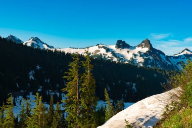 Rainier Dağı Ulusal Parkı 'ndaki Cennet bölgesinin sakin güzelliği, engebeli, karla kaplı zirveleri ve yemyeşil ormanlarıyla.