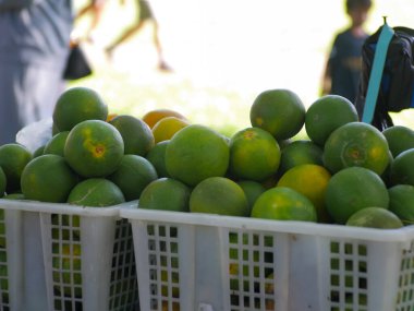 Yol kenarında yeşil sıkılmış portakal veya turunçgiller satılır. Endonezya 'dan tatlı bir tadı olan yeşil portakal