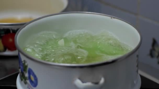 Chayote Squash Bländas Liten Kruka Kokande Vatten Till Efterrätt — Stockvideo