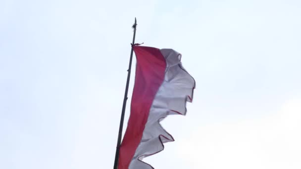インドネシアの旗ペナント 青空の背景を持つ独立記念日の装飾に使用 — ストック動画