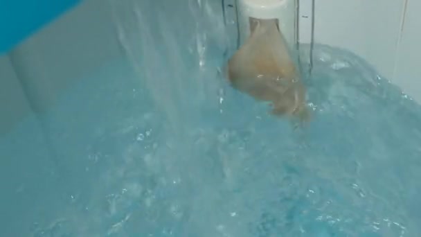 用干净的水填满洗衣机滚筒的过程 — 图库视频影像