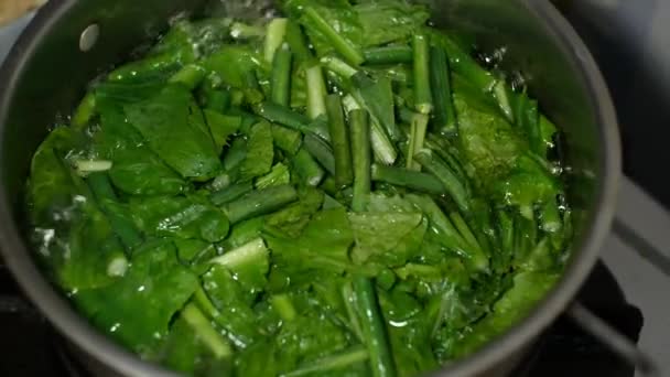 マスタードグリーンと長い豆からなる生野菜を沸騰させるプロセスは かわいい料理を作るための成分として沸騰し 使用されます — ストック動画