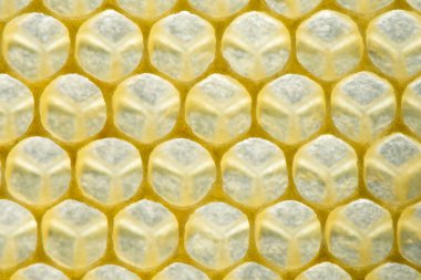 Balmumundan bal peteği yaklaş. Seçici odak.