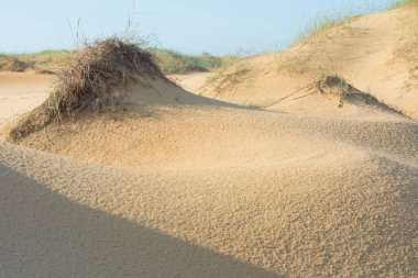 Sahilde kumlu tepeler.