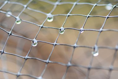 Metal bir ağ üzerinde damlacıklar, yakın çekim, makro çekim. Soyut arkaplan.