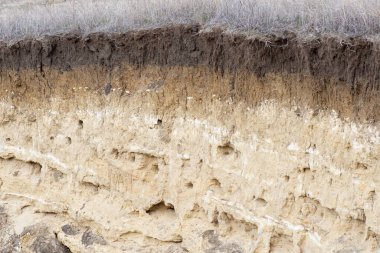 Toprak erozyonu sorunu. Yer altında kesişen toprak, üzerinde çimenler olan erozyon zemini. Tarım alanının yanındaki yamaçta..
