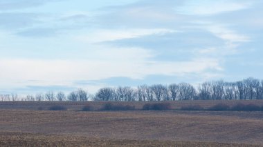 İlkbaharda tarım arazisi olan kırsal alan. Bulutlu güzel gökyüzü.