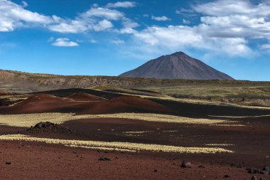 Malargue, Mendoza, Cuyo, Arjantin yakınlarındaki Payunia il rezervi (Reserva La Payunia). Payunia, rezervdeki volkanların sayısıyla ünlüdür. 800 'den fazla volkanla Dünya' daki en yoğun volkanik alanlardan biridir..