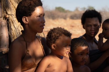 KALAHARI DESERT; NAMIBIA - 17 Kasım 2024: Kalahari Çölü 'nün kırmızı kumlarındaki Bushmen kabilesi üyeleri; Namibya; Afrika. Buşmen kabileleri hala Kalahari Çölü 'nde yaşıyor ve geleneksel mesleklerini sürdürüyorlar: göçebe yaşam tarzı;