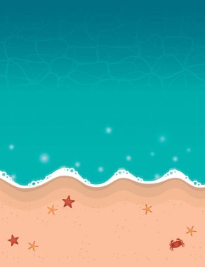 summer holiday beach background with shell starfish crab vector illustration EPS10