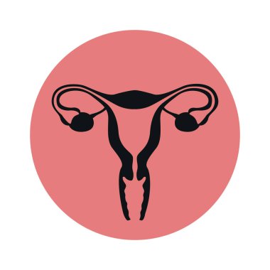 Kadın üreme sistemi kadınları uterus yumurtalığı ikon vektör illüstrasyonu EPS10