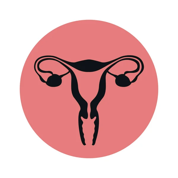 Sistema Riproduttivo Femminile Donne Utero Ovaio Icona Vettore Illustrazione Eps10 — Vettoriale Stock