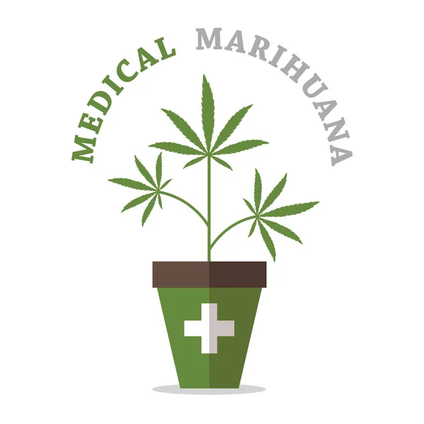 Groene Medicinale Marihuana Plant Cannabis Bloempot Vector Illustratie Eps10 — Stockvector