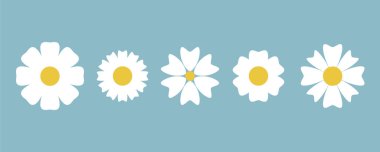 Beyaz çiçek kümesi basit bahar ikonu koleksiyonu vektör illüstrasyonu EPS10