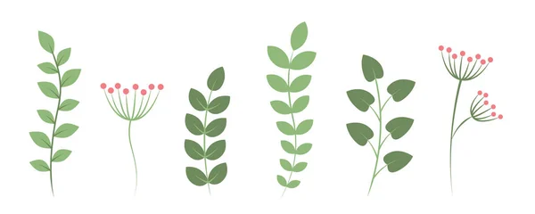 Conjunto Folhas Verdes Decoração Floral Isolado Ilustração Vetorial Branco Eps10 —  Vetores de Stock