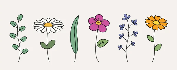 Florales Set Verschiedene Bunte Blumen Und Blätter Isolierte Vektorillustration Eps10 — Stockvektor