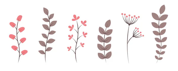 Satz Blätter Rankenblumen Blumenschmuck Isoliert Auf Weißem Vektor Illustration Eps10 — Stockvektor