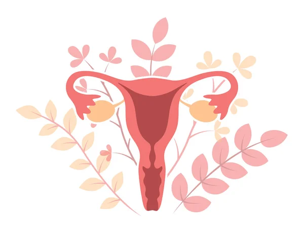 Appareil Reproducteur Femelle Utérus Femme Sur Fond Floral Illustration Vectorielle — Image vectorielle