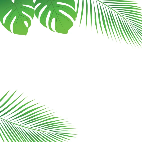 Foglie Palma Tropicale Bordo Vacanza Estiva Disegno Isolato Vettore Illustrazione — Vettoriale Stock