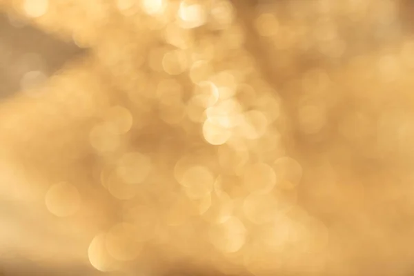 Abstract blurred Gold bokeh with nature shadow texture background for presentation backdrop and mock up.