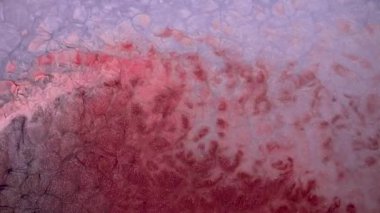 Yüksek Akıcı Akışkan Boyama. Dalgalanan parıltılı yüzey. Güzel metalik pembe, mor, leylak desenli yakın plan boya. Sıvı ağır çekim sanatı. Renkli Kaos Türbülansı. Soyut Renkli Tasarım.