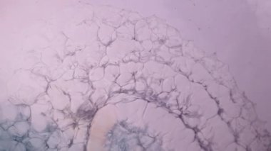 Yüksek Akıcı Akışkan Boyama. Dalgalanan parıltılı yüzey. Güzel metalik pembe, mor, leylak desenli yakın plan boya. Sıvı ağır çekim sanatı. Renkli Kaos Türbülansı. Soyut Renkli Tasarım.