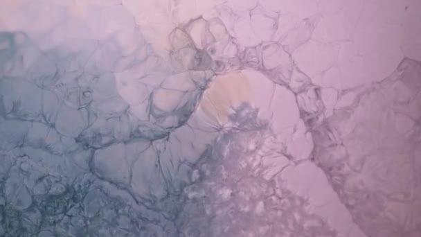 Живопись Жидкостью Высокого Потока Поверхность Размахивает Блестками Розовый Фиолетовый Лиловый — стоковое видео