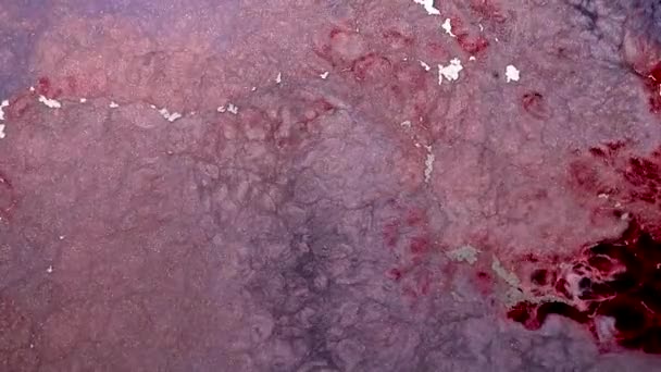 Pintura Fluido Alto Fluxo Brilho Fluxo Acenando Superfície Belo Rosa — Vídeo de Stock