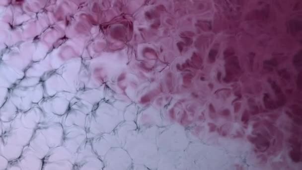 Ζωγραφική Υψηλής Ροής Υγρού Κυματίζει Αστραφτερή Επιφάνεια Όμορφο Μεταλλικό Ροζ — Αρχείο Βίντεο