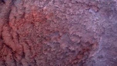 Yüksek Akıcı Akışkan Boyama. Dalgalanan parıltılı yüzey. Güzel metalik pembe, mor, leylak desenli yakın plan boya. Sıvı ağır çekim sanatı. Renkli Kaos Türbülansı. Soyut Renkli Tasarım.