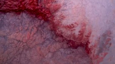 Yüksek Akıcı Akışkan Boyama. Dalgalanan parıltılı yüzey. Güzel metalik pembe, mor, leylak desenli yakın plan boya. Sıvı ağır çekim sanatı. Renkli Kaos Türbülansı. Soyut Renkli Tasarım.