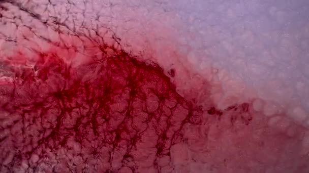 Malowanie Cieczy Wysokim Przepływie Płynąca Błyszcząca Powierzchnia Piękne Metaliczny Różowy — Wideo stockowe