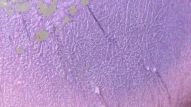 Alkol mürekkebi deniz dokusu. Çağdaş sanat. Çok renkli parlak bir doku. Modern sanat. Gökyüzünden esinlenildiği kadar buhar ve dumandan da..