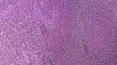 Alkol mürekkebi deniz dokusu. Çağdaş sanat. Çok renkli parlak bir doku. Modern sanat. Gökyüzünden esinlenildiği kadar buhar ve dumandan da..