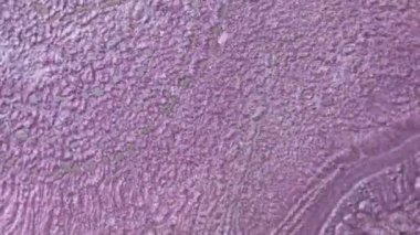 Alkol mürekkebi deniz dokusu. Çağdaş sanat. Çok renkli parlak bir doku. Modern sanat. Gökyüzünden esinlenildiği kadar buhar ve dumandan da..