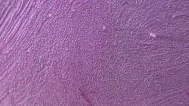 Alkol mürekkebi deniz dokusu. Çağdaş sanat. Çok renkli parlak bir doku. Modern sanat. Gökyüzünden esinlenildiği kadar buhar ve dumandan da..