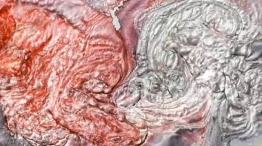 İncinin güzel annesi pastel renklerde akıyor. Yavaş çekim, yüksek kaliteli soyut video tasarımı. Pembe, kahverengi kıvrımlı duman uzak bir evrene benzer. Alkollü mürekkep karıştırılıyor.