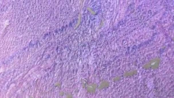 美丽的发泡溪流的淡紫色与泡沫 摘要液体艺术背景 发亮的紫色油漆的运动 高质量的视频设计适用于运动图形 视觉效果 — 图库视频影像