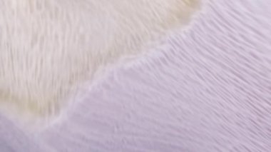 Sıvı boya arka planda sıçrama ve girdapla karışımı. Akışkan sanat çizimi videosu. Renkli dalgalı akrilik doku. Beyaz, mavi ve altın renkli ayrıntılı arkaplan hareketi.