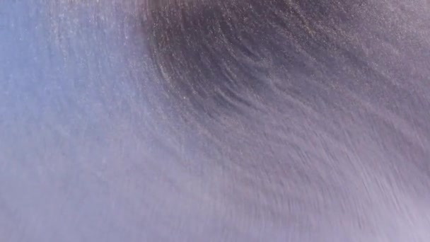 Фон Смешивания Жидкой Краски Брызгами Завихрениями Видео Рисования Жидким Искусством — стоковое видео