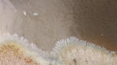 Parçacık soyut arkaplan altında sıvı. Luid sanat çizim videosu, renkli dalgalı soyut akrilik doku.